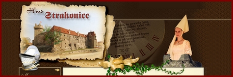 odkaz na web hradu Strakonice